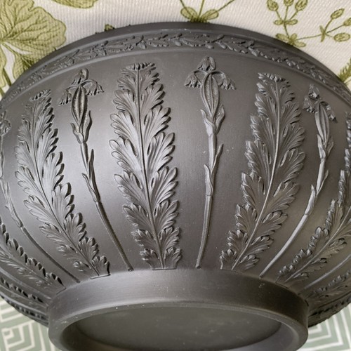 Wedgwood jasperware black - jasperware,
