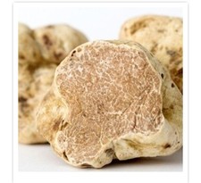 LUXURY GOURMET  WOOD SMOKED AROMATIC GASTRO  ITALIAN WHITE TRUFFLES 10g 