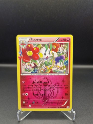 Floette radiant collection - floette,
