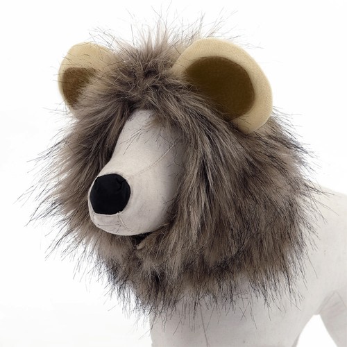 Pet costume brown - costume, mane