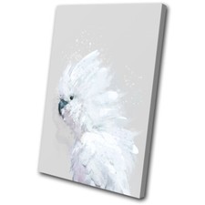 White Cockatoo Exotic Bird