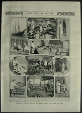 Lampson's Fur Saleroom Animal