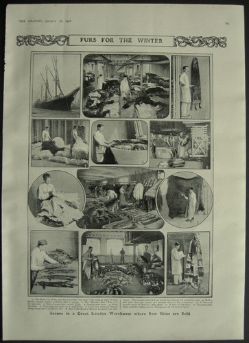 Lampson fur saleroom animal - fur,