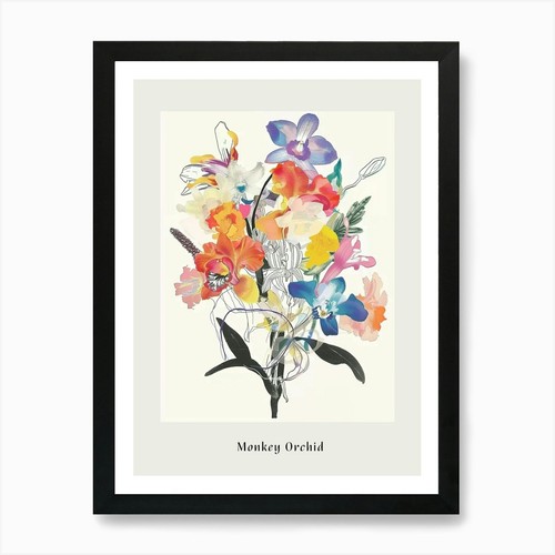 Monkey orchid collage flower - collage,