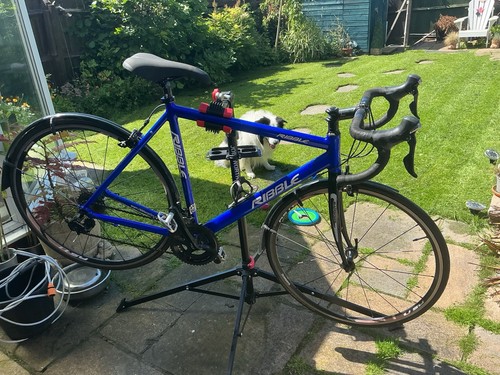 Ribble audax winter trainer - audax,