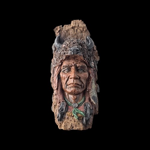 Native american indian with - native,