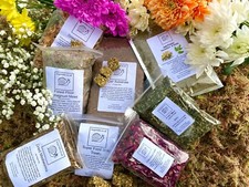 Giant African Land Snail