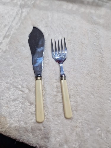 Antique stainless nickel - stainless, fish