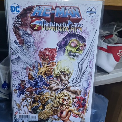 Comics man thundercats - comics, he-man/thundercats