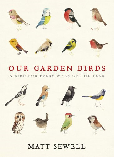 Our garden birds stunning - birds:, a