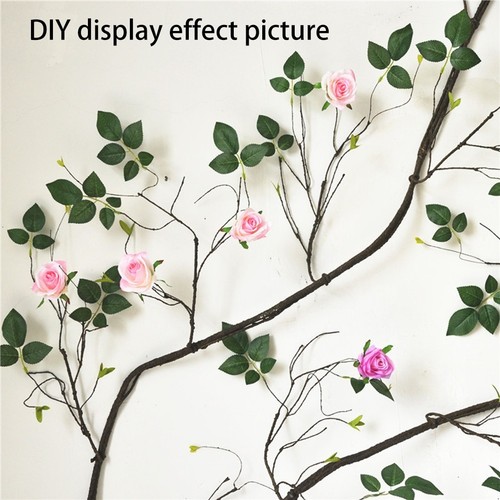 Photo studio decoration - photo,