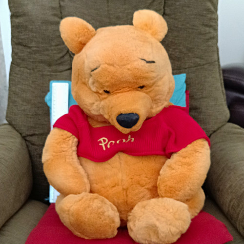 Disney winnie the - pooh, large