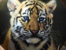 TIGER CUB BY QUA CUBS OF THE BIG CATS PLATE COLLECTION MEASURES 21.5 CM APPROX.