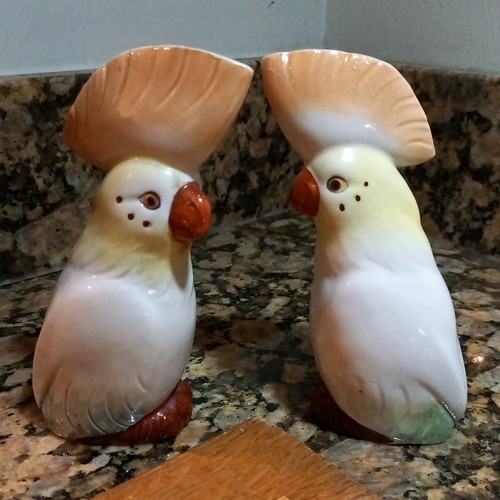 Vintage pair parrot - pair, cockatoo