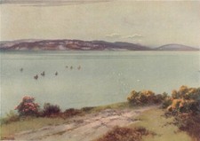 Torquay and Berry from West