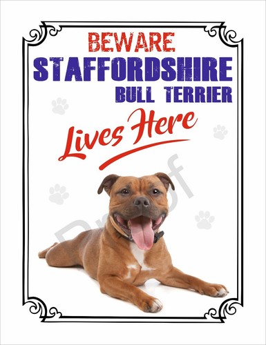 Staffordshire bull terrier -  staffordshire,