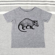 Opossum zoo animal - Baby