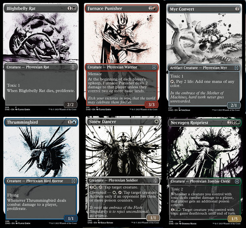 Choose your showcase - your,