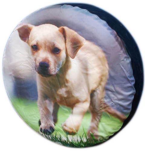 Spare tyre wheel cover - cover, dog