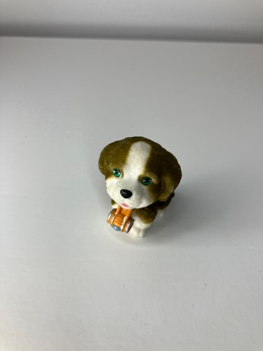 Puppy pocket st - pocket, bernard