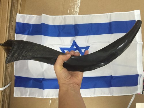 Yemenite kudu horn shofar - kudu,