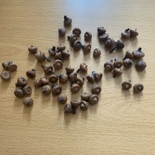 Mini Acorns Crafting Projects Autumn Pagan Equinox Decor Halloween