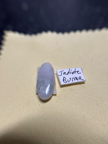 Light blue burmese - 8.50, ct