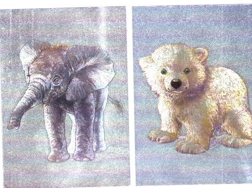 Animal young dufex published - animal,