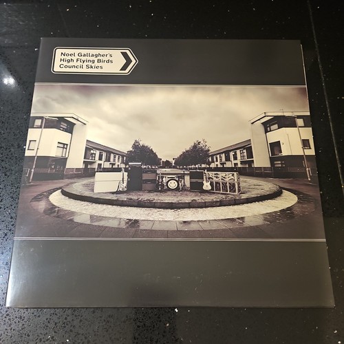Noel gallagher council - gallagher,