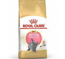 ROYAL CANIN KITTEN BRITISH