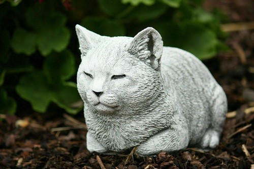 Unique memorial cat - , statue
