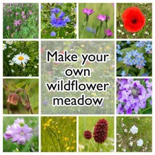 Make your own wildflower - make,