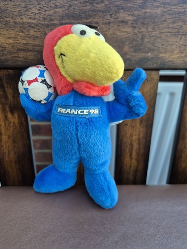 Fifa world cup - fifa, france