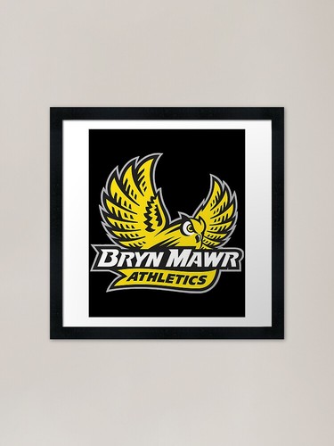 Bryn mawr athletics owl - bryn,