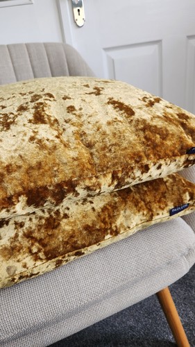 Paoletti crushed velvet - x,