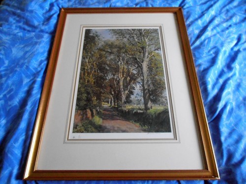 James mcintosh patrick print - james,