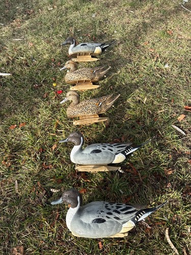 Flambeau stormfront pintail - flambeau,