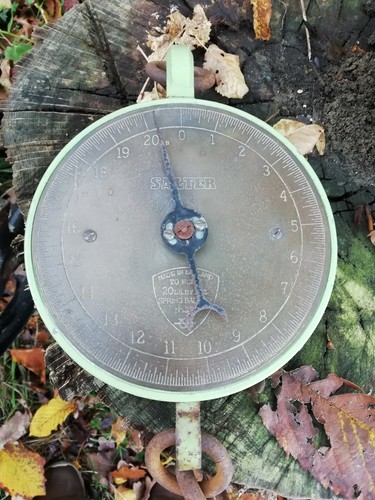Vintage 20lb salter suspended - salter,