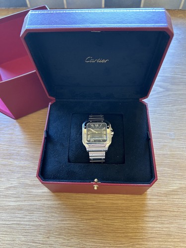 Cartier santos 2021 wssa0030 - 2021,