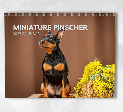 Miniature pinscher calendar - miniature,