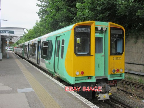 Photo southern emu 313220 - ,