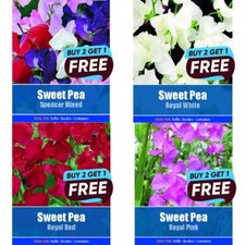Flower Seeds UK Grow Your Own