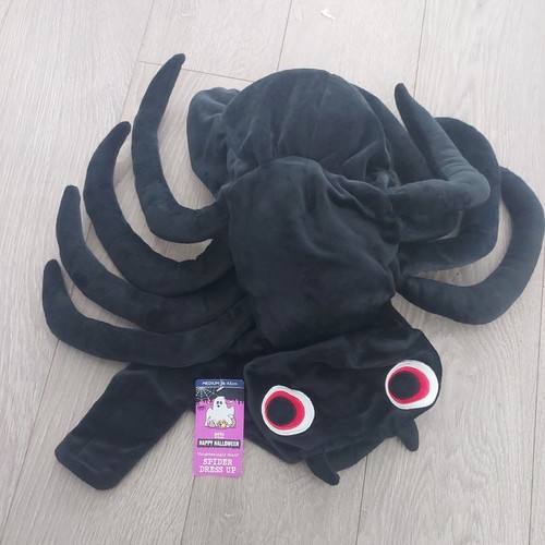 Brand new pets home spider - at,