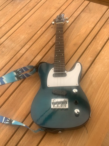 Clearwater tenor electric - clearwater,
