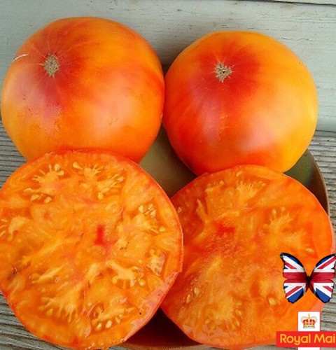 Tomato seeds hawaiian - tomato, 10