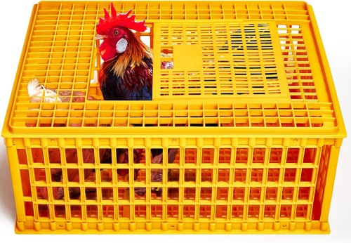 Irenare poultry carrier crate - irenare,
