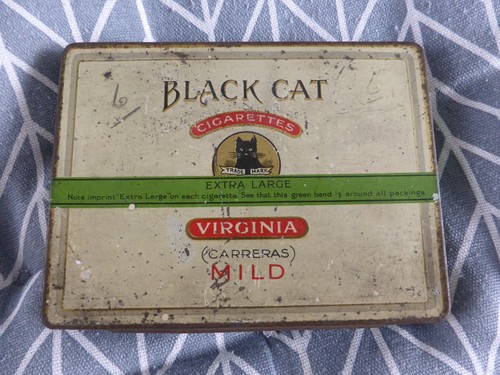 Black cat vintage - cat, (
