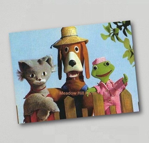 Fridge magnet hectors house - magnet,