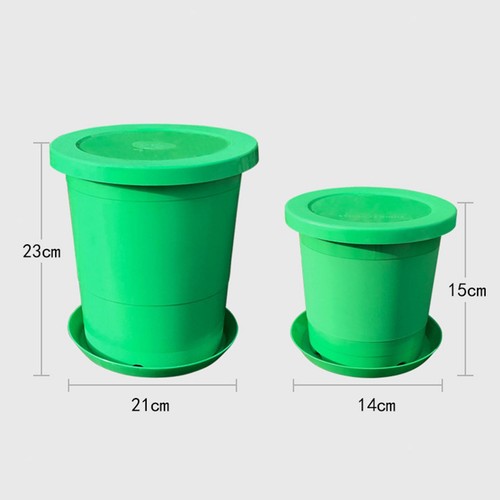 Seedling starter tray plant - seedling,