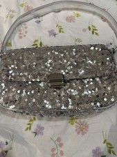 Silver Sequinned Evening